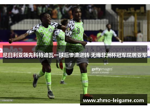 尼日利亚领先科特迪瓦一球后惨遭逆转 无缘非洲杯冠军屈居亚军 尼日利亚领先科特迪瓦一球后惨遭逆转 无缘非洲杯冠军屈居亚军